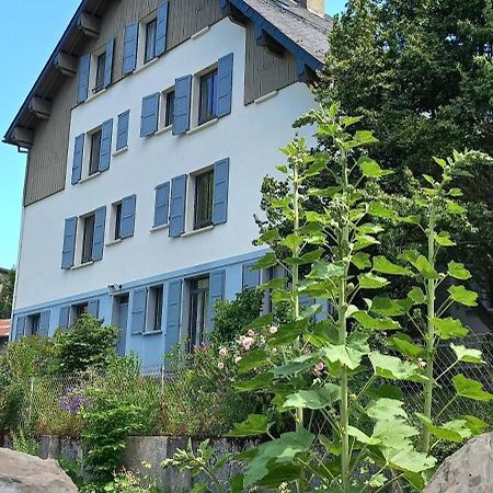 Chalet Du Doumet - Appart Luz Centre - Parking Et Garage Individuel Ferme - Draps Et Serviettes Inclus Luz-Saint-Sauveur Ngoại thất bức ảnh