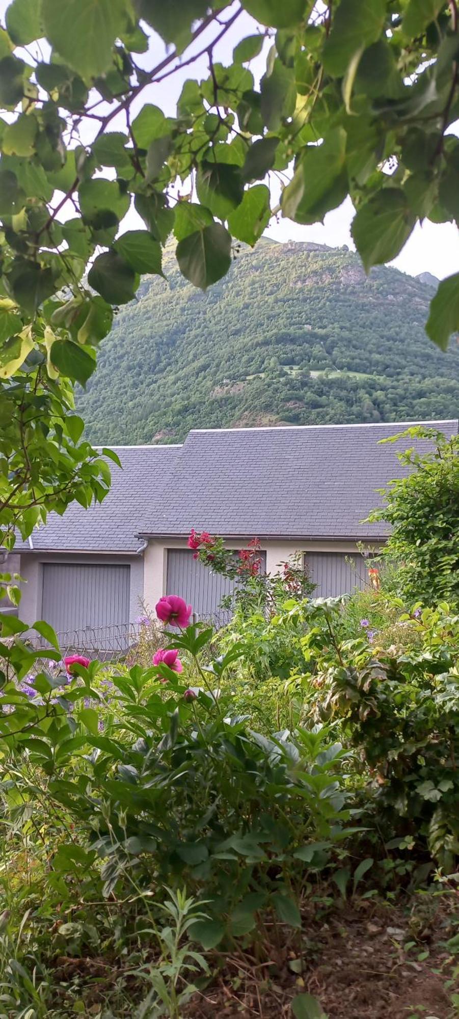 Chalet Du Doumet - Appart Luz Centre - Parking Et Garage Individuel Ferme - Draps Et Serviettes Inclus Luz-Saint-Sauveur Ngoại thất bức ảnh